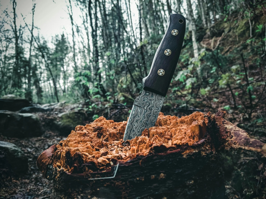 The Unsung Hero: Why a Good Knife is Essential for Survival Adventures